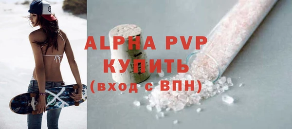 стаф Осинники