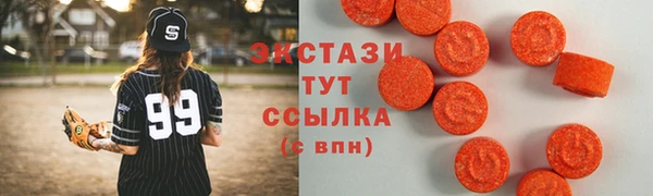 стаф Осинники