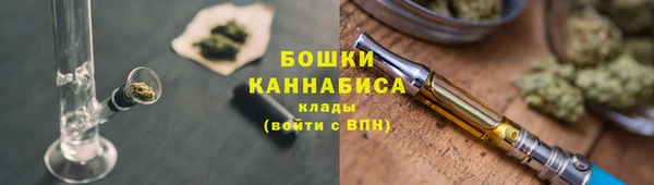 стаф Осинники