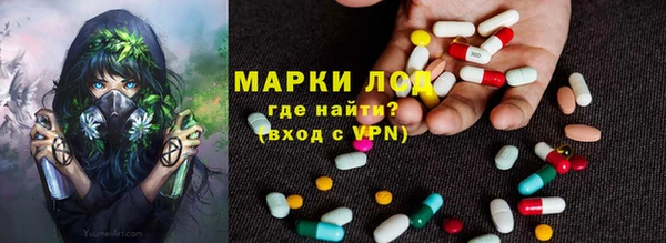 стаф Осинники