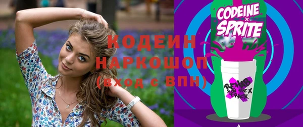 стаф Осинники